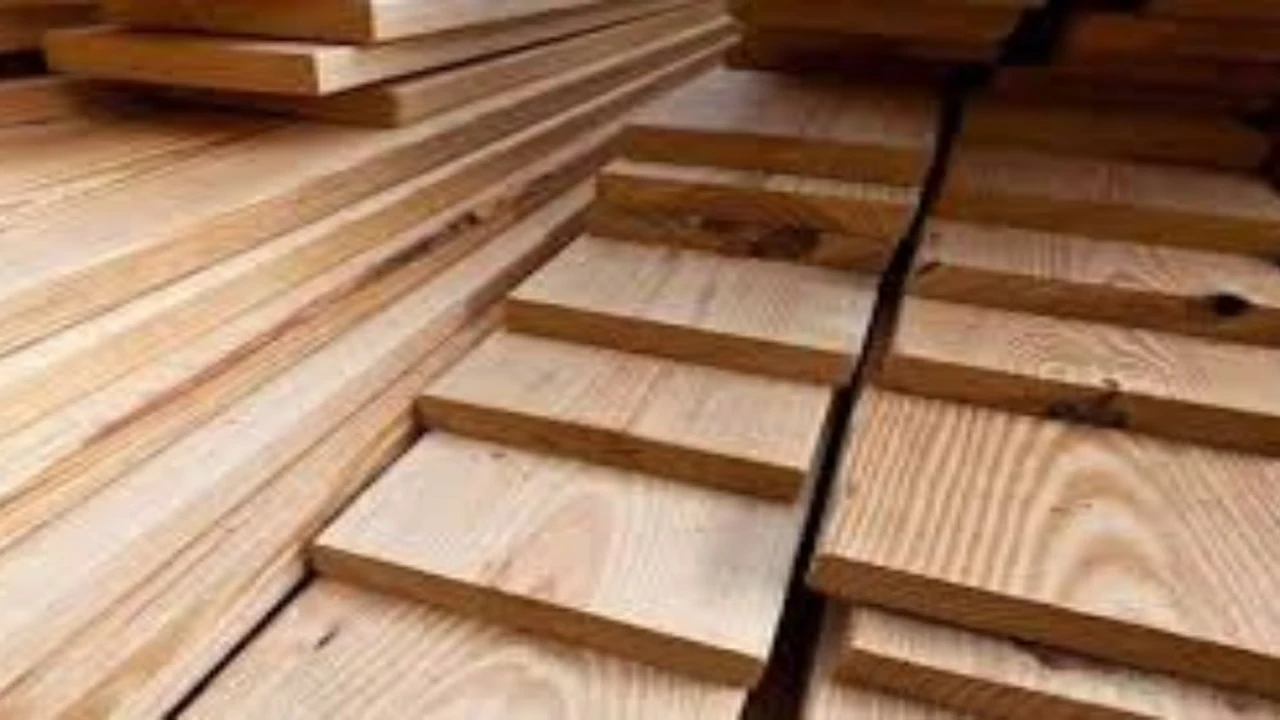 تغيرات جديدة في أسعار الخشب بالأسواق المصرية خلال تعاملات يوم السبت